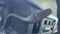 2025 Chevrolet Express 2500 Work Van Cargo