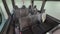 2025 Mercedes-Benz Sprinter 2500 Passenger 170 WB High Roof