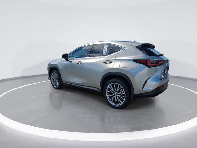 2025 Lexus NX 350h Premium