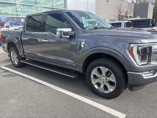 2021 Ford F-150 Platinum