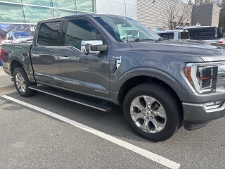 2021 Ford F-150 Platinum