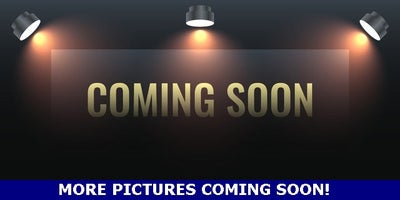 2020 Chevrolet Express 2500 Work Van Cargo