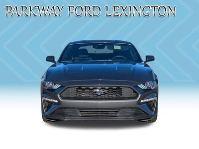 2022 Ford Mustang EcoBoost