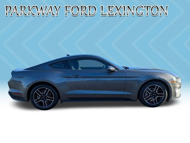 2022 Ford Mustang EcoBoost